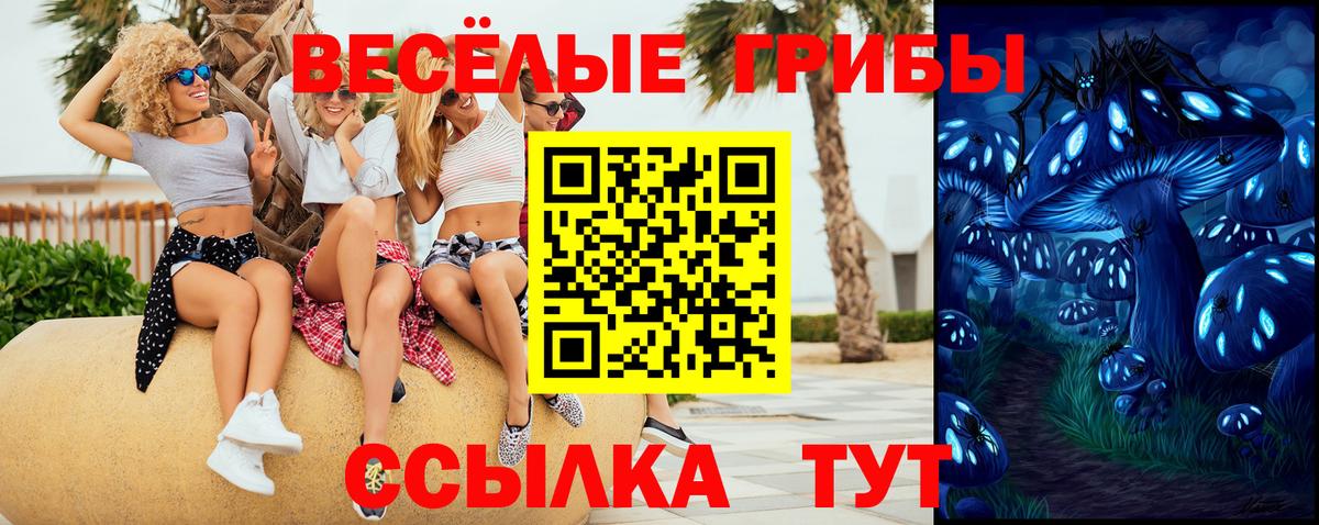 Псилоцибиновые грибы Psilocybe Мелеуз